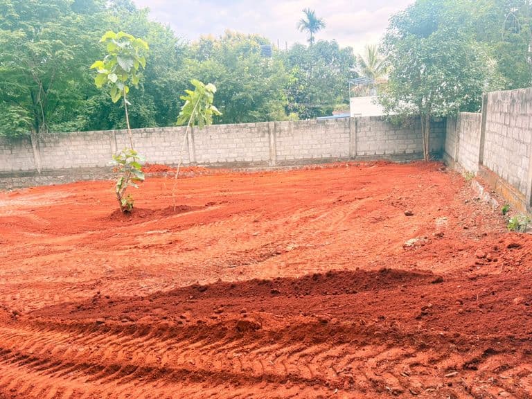 COMMERCIAL DEVELOPMENT
