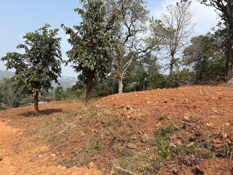 Beautiful view-point location