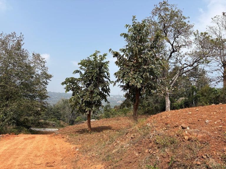 Beautiful view-point location
