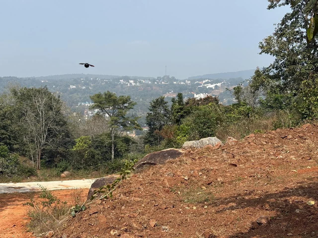 Scenic green property with trees in Yelagiri Hills