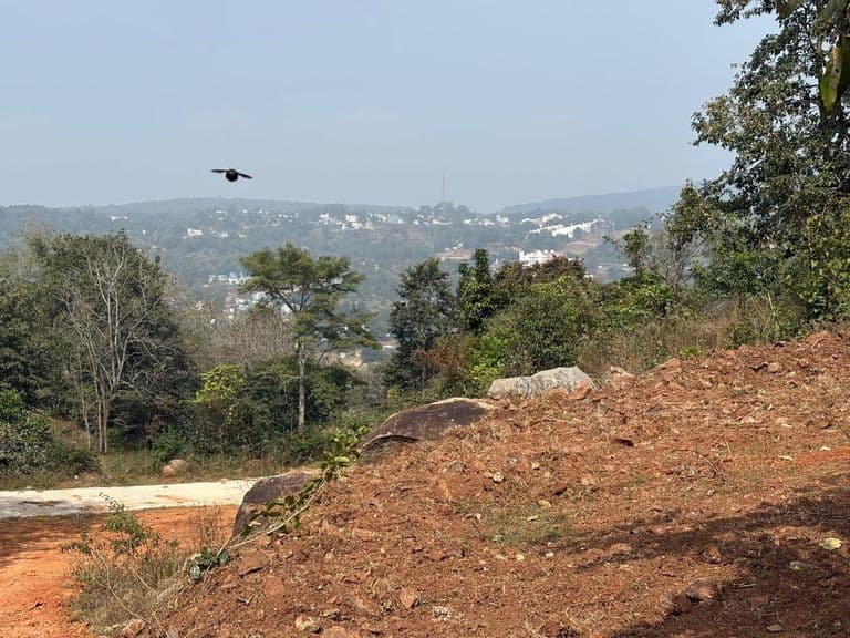 Scenic green property with trees in Yelagiri Hills