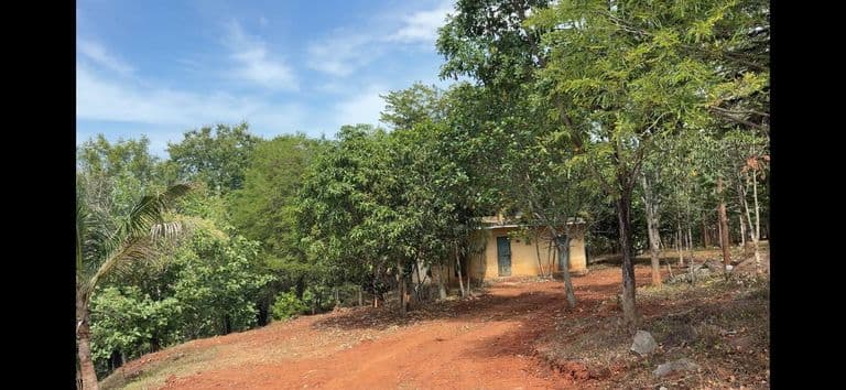 Scenic green property with trees in Yelagiri Hills